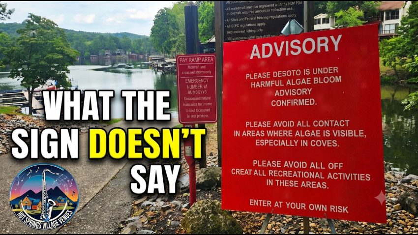 Arkansas Officials Banned the Only Algae Solution The Real Reason Behind Lake DeSoto's Crisis